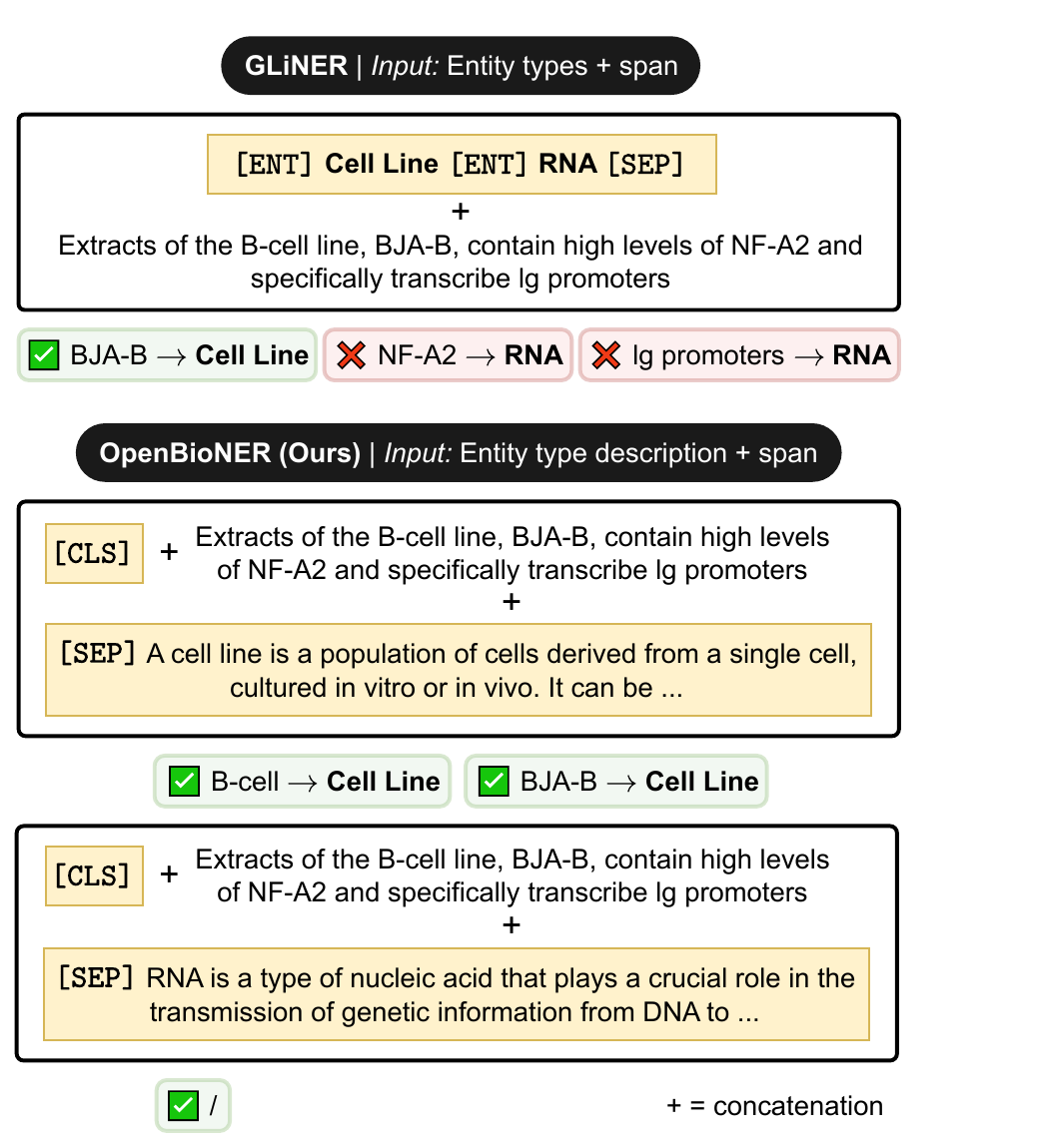 GLiNER 用标签名 vs OpenBioNER 用类型描述的对比